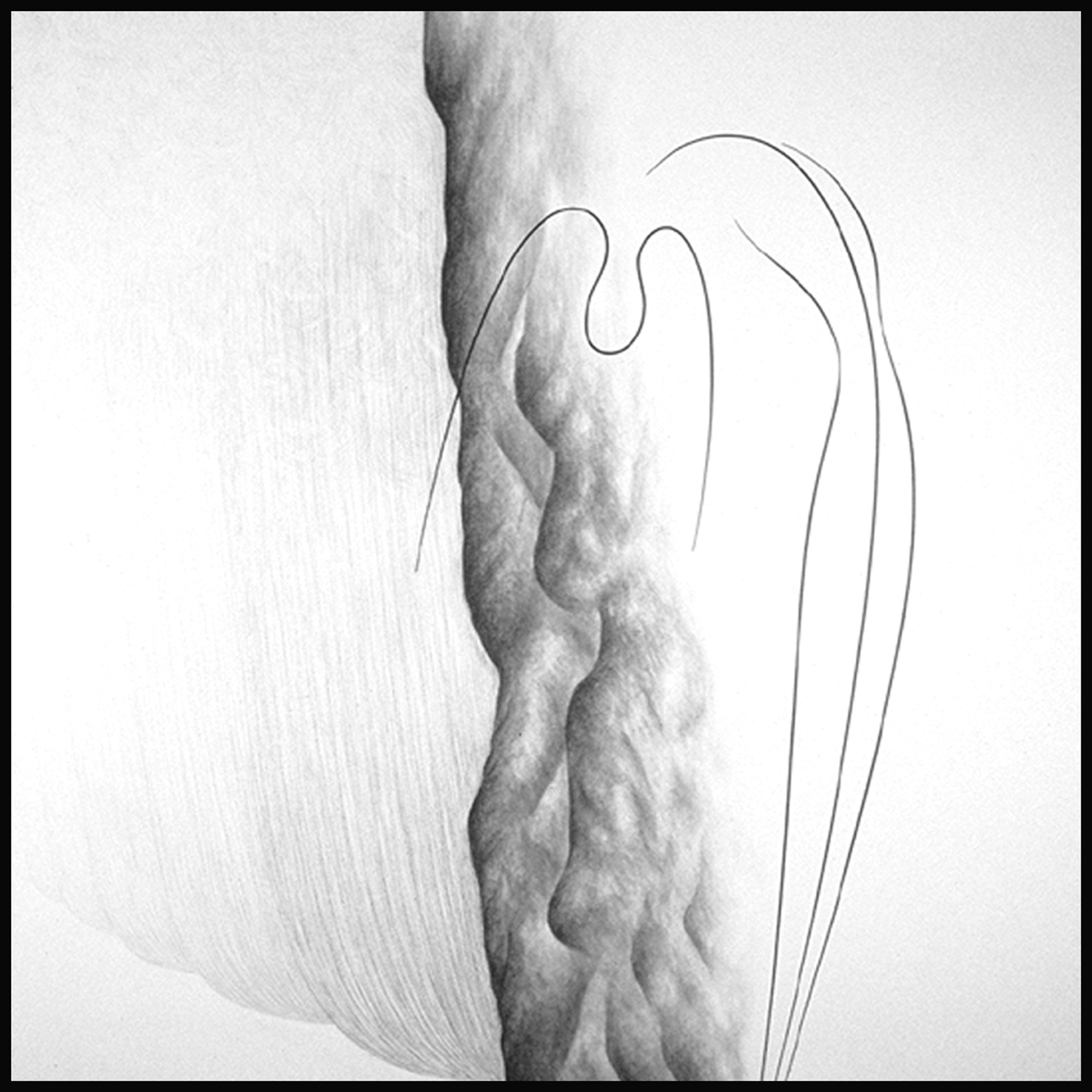 Titled: Reiniging